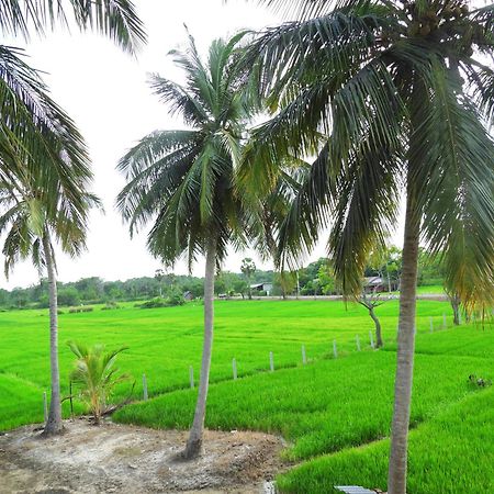 Green Sapphire Holiday Resort Wilpaththu Wilpattu Exterior photo
