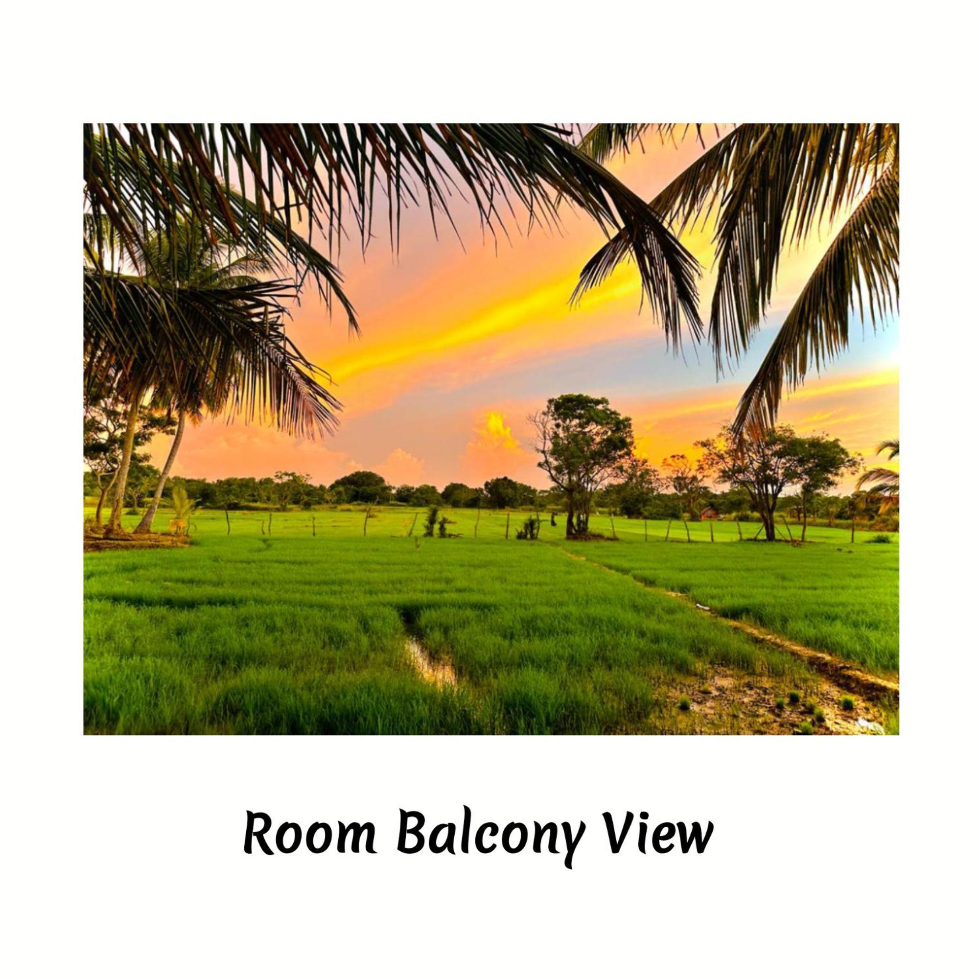 Green Sapphire Holiday Resort Wilpaththu Wilpattu Exterior photo
