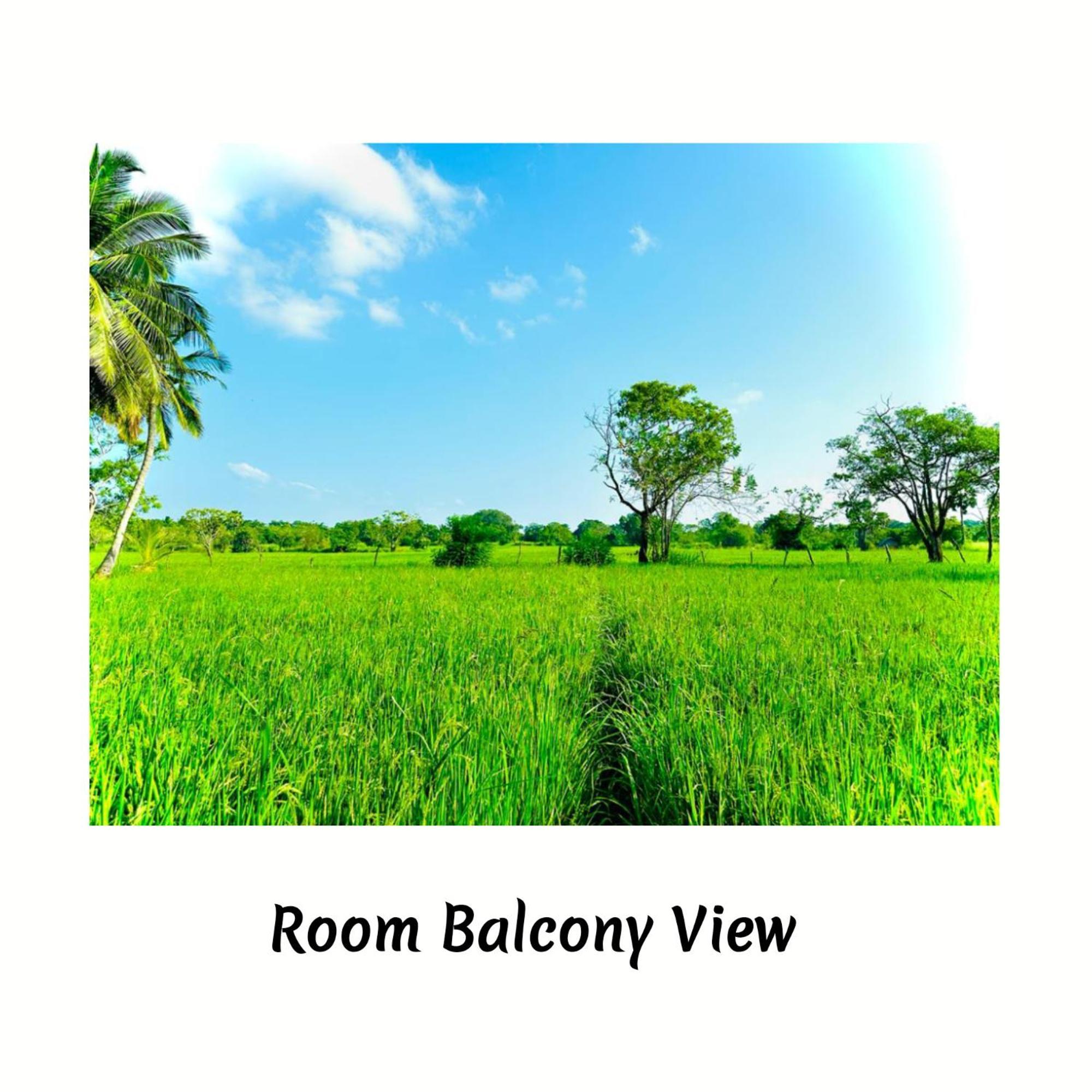 Green Sapphire Holiday Resort Wilpaththu Wilpattu Exterior photo