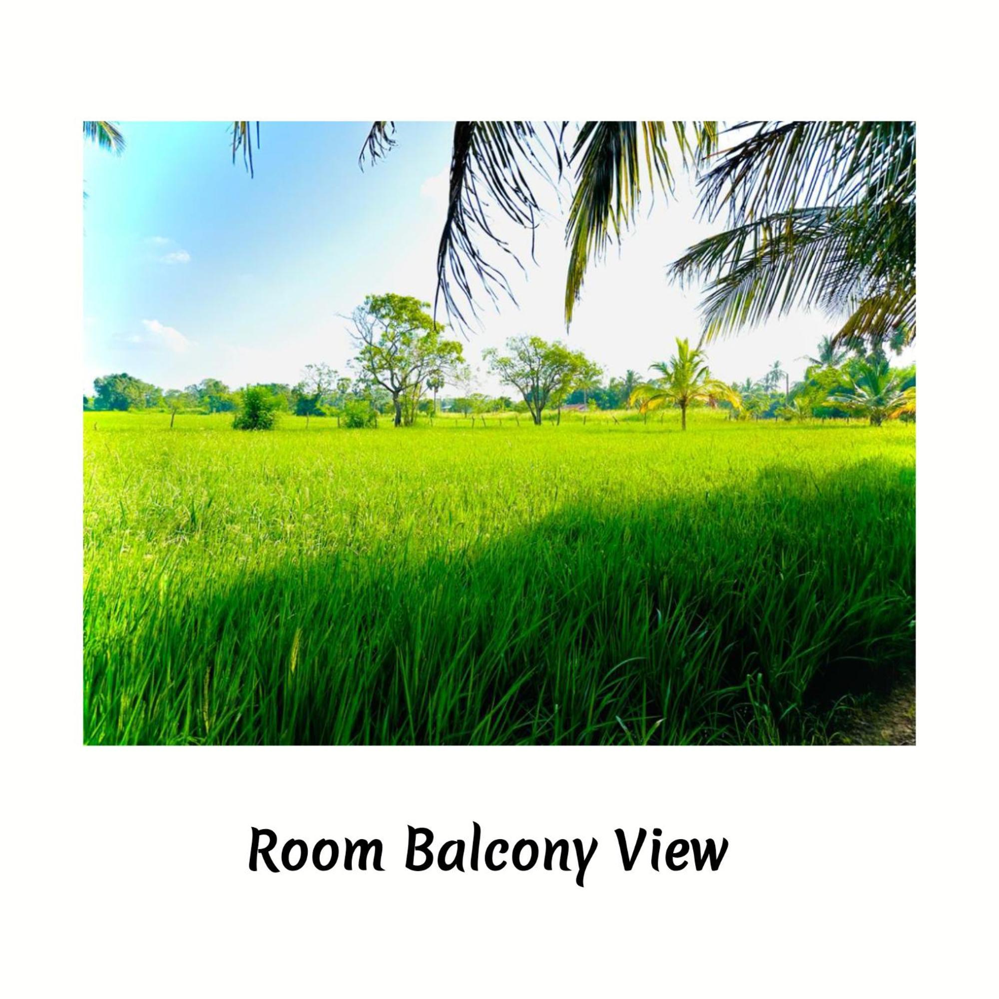 Green Sapphire Holiday Resort Wilpaththu Wilpattu Exterior photo