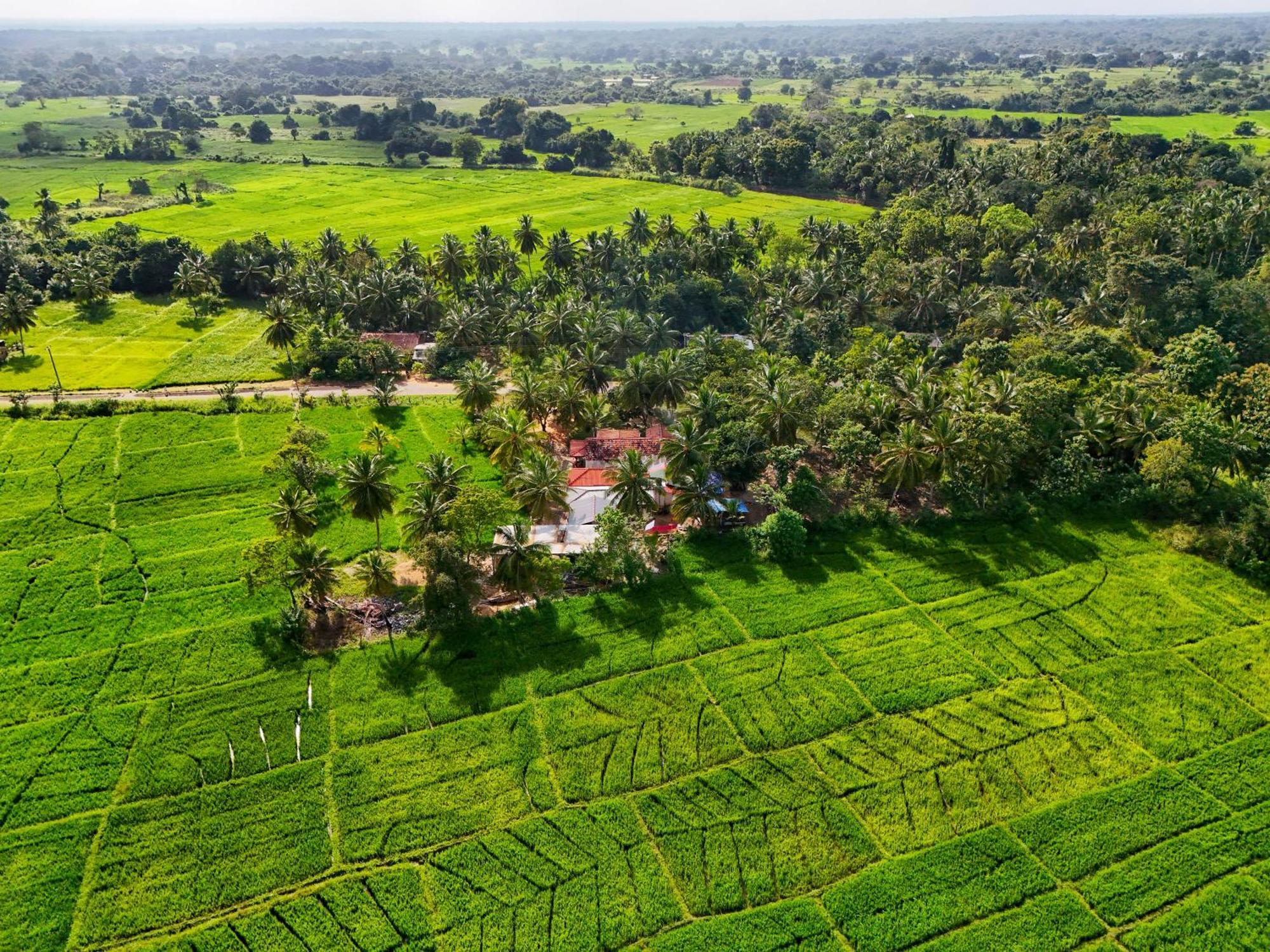 Green Sapphire Holiday Resort Wilpaththu Wilpattu Exterior photo