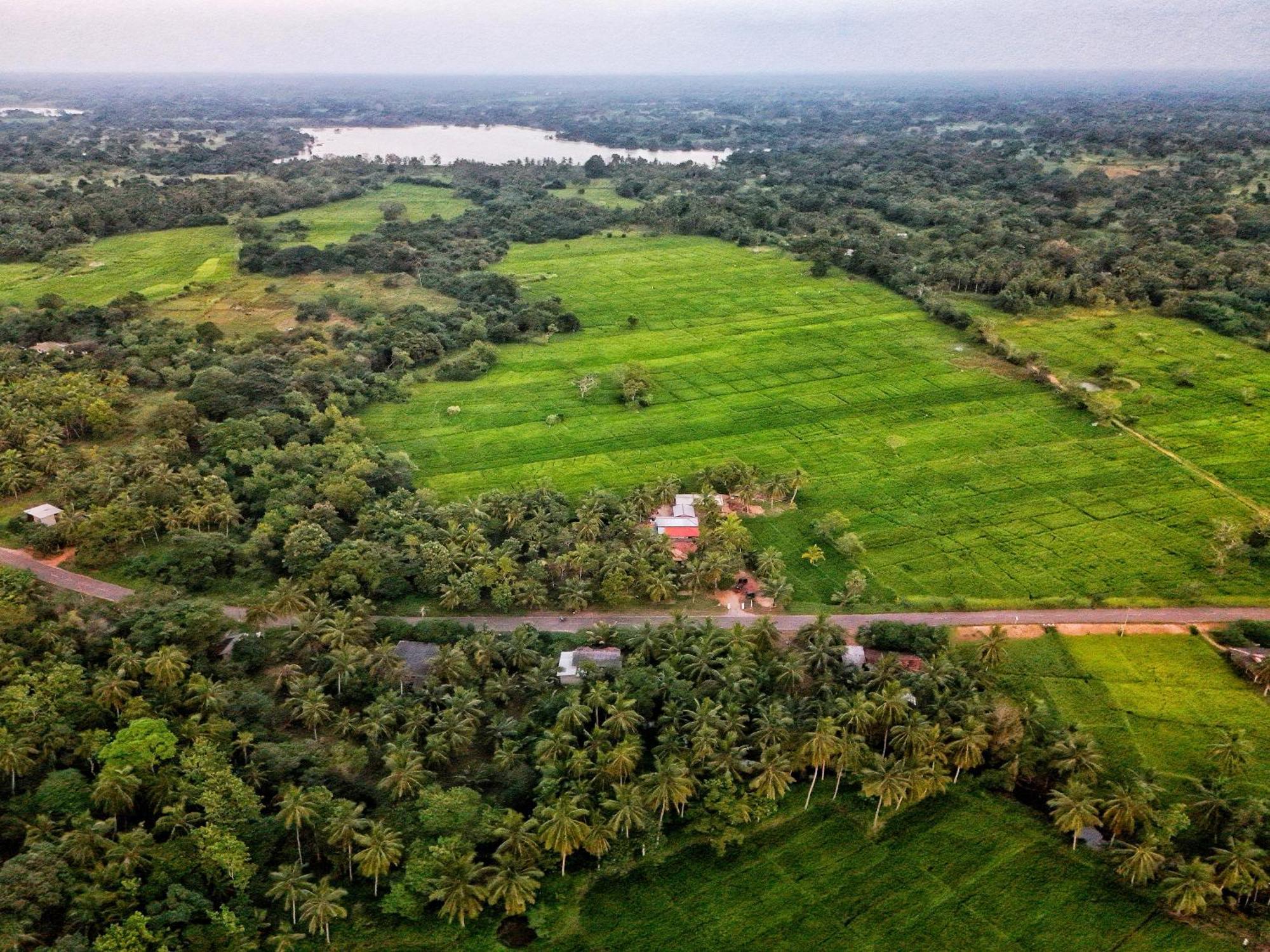 Green Sapphire Holiday Resort Wilpaththu Wilpattu Exterior photo