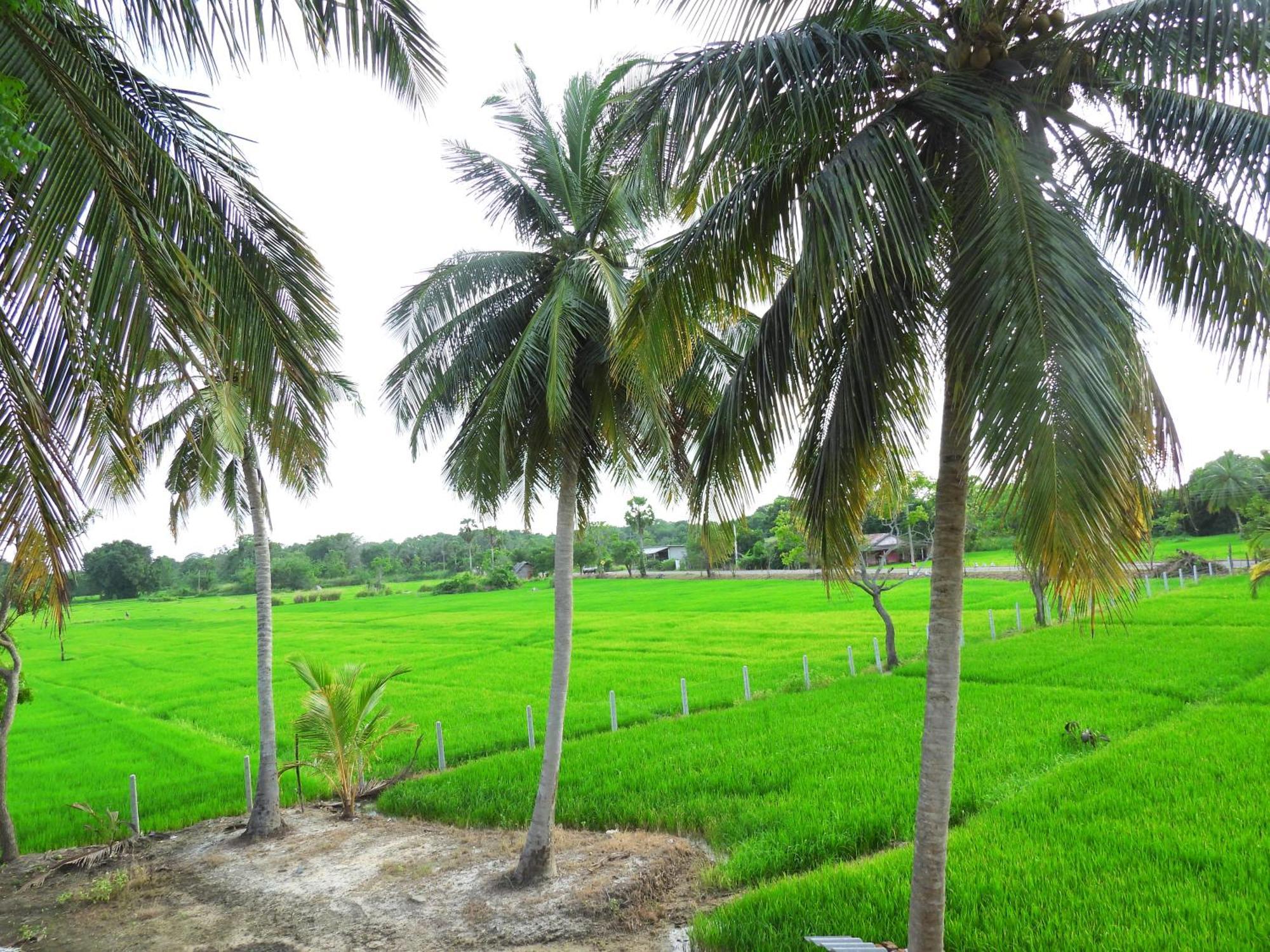 Green Sapphire Holiday Resort Wilpaththu Wilpattu Exterior photo